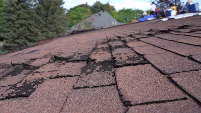 Trusted Paloma Creek, TX Roofing Services Experts